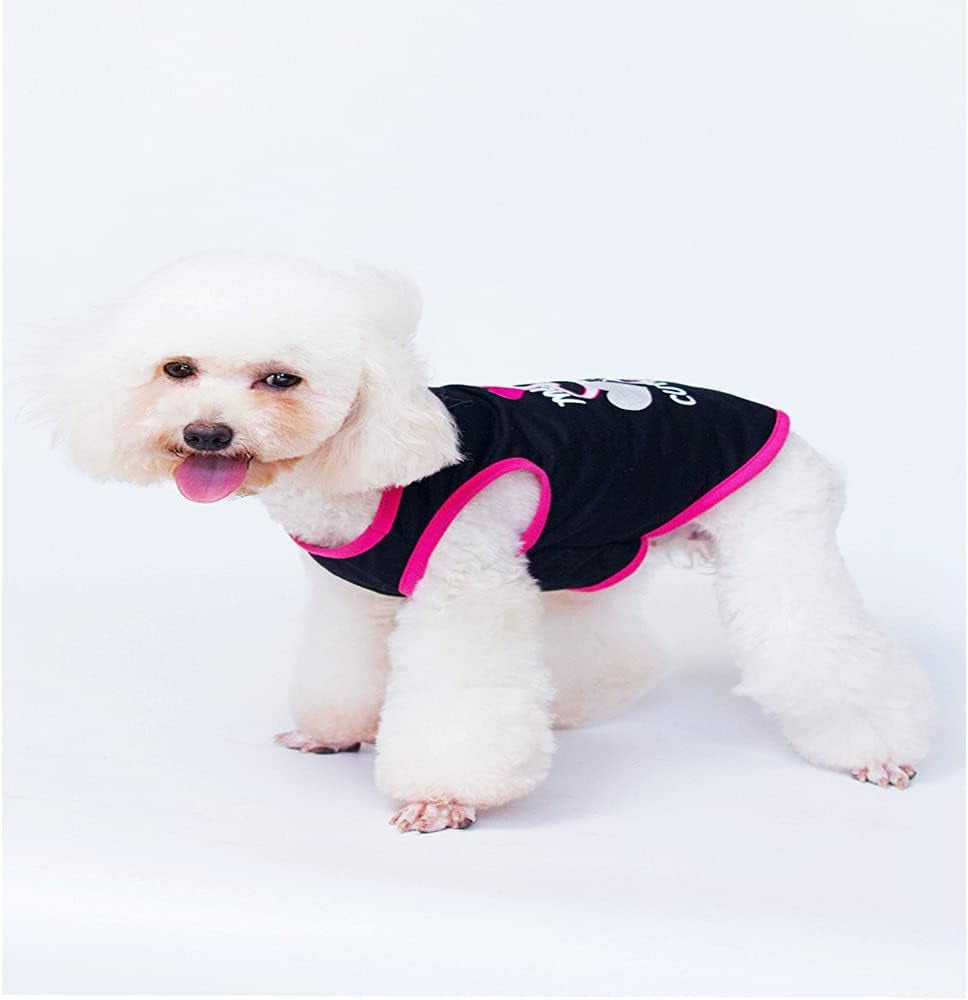 Puppy Clothes for Small Dogs Boy Girl 4 Pack Cat Shirt Cool Dog Summer Outfits Pet Doggie Short Sleeve T-Shirts Apparel for Medium Large French Bulldog Yorkie Doggie Accessories Clothing (XS)